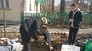 Бархатный город