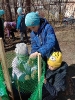 Бархатный город_3